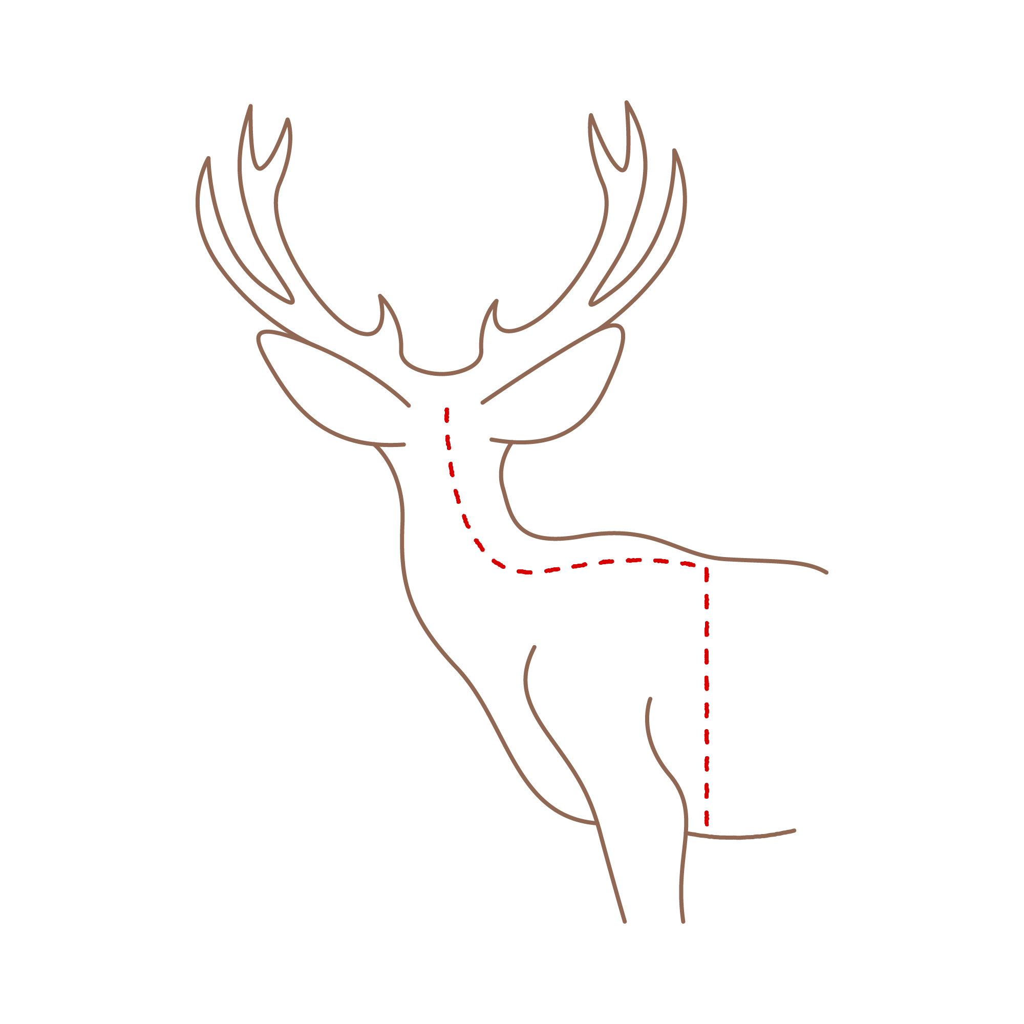 Deer Shoulder Mount Diagram